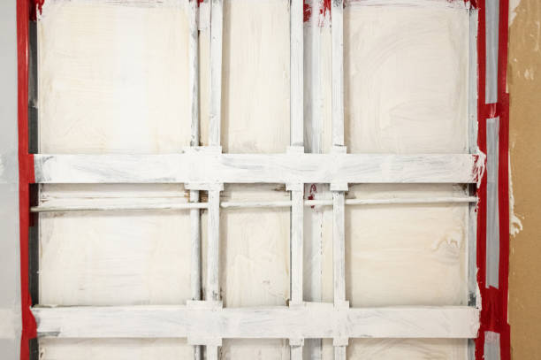 Best Airborne Mold Testing  in Owensboro, KY