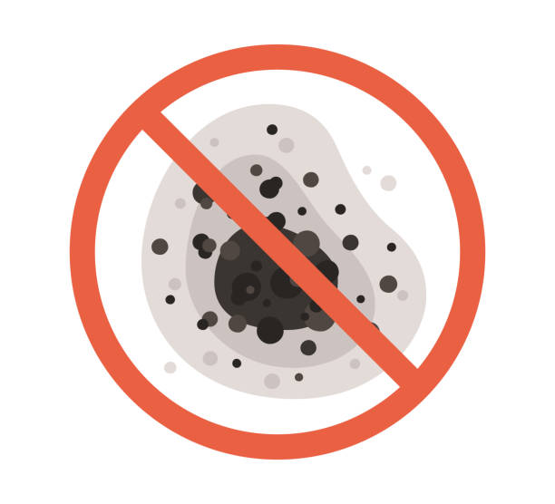 Best Mold Remediation for Healthcare Facilities  in Owensboro, KY
