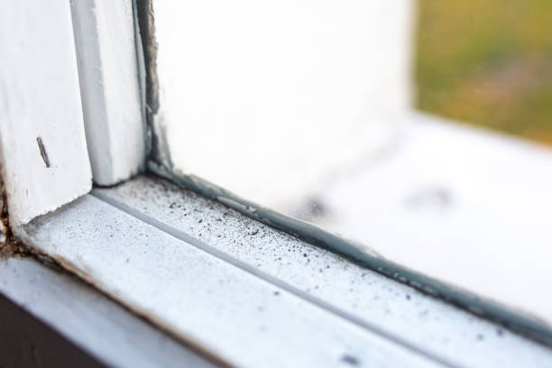 Best Indoor Air Quality Assessment  in Owensboro, KY
