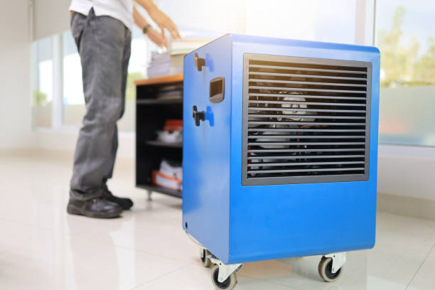 Best Mold Damage Restoration  in Owensboro, KY