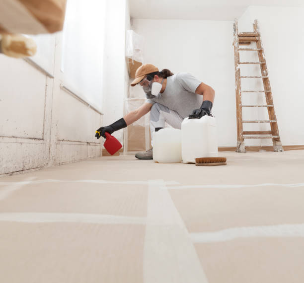 Best Residential Mold Inspection & Testing  in Owensboro, KY